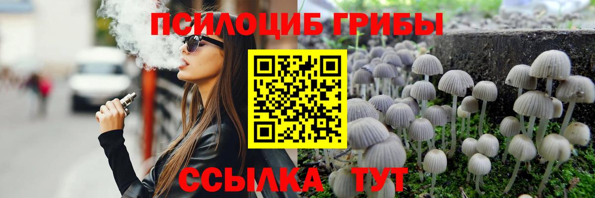 Егорьевск  Галлюциногенные грибы мухоморы  Вход с VPN  Псилоцибиновые грибы Cubensis 